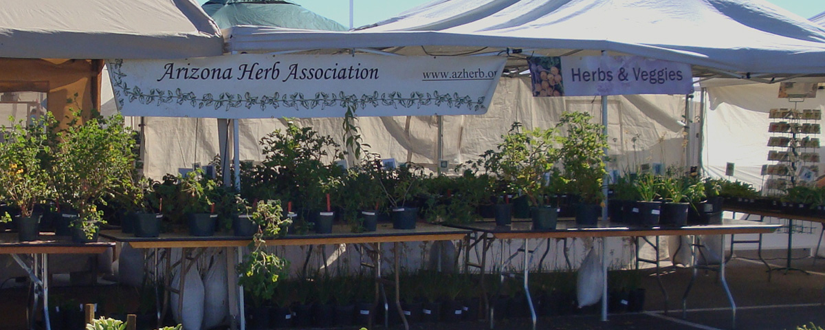 Arizona Herb Association volunteer tent at the Desert Botanical Garden 2013 Fall Plant Sale